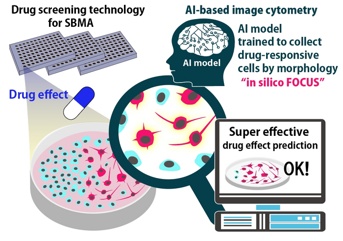 in silico FOCUS