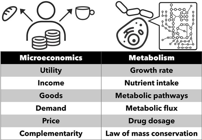 Metabolic microeconomics
