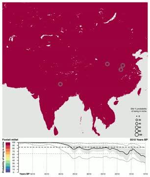 What Adaptive Strategies Did Ancient Farmers Use to Cope with Local Climate Changes? (4 of 6)