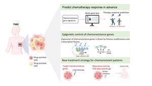 Illustration of the research on TNBC conducted by Vijay Tiwari's team