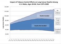 Impact of Tobacco Control Efforts on Lung Cancer Deaths Among US Males, Ages 30-84, from 1975-2000