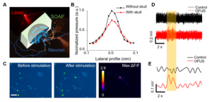 Working principle of SOAP, the lateral profile of OFUS, neurostimulation in vitro and in vivo.