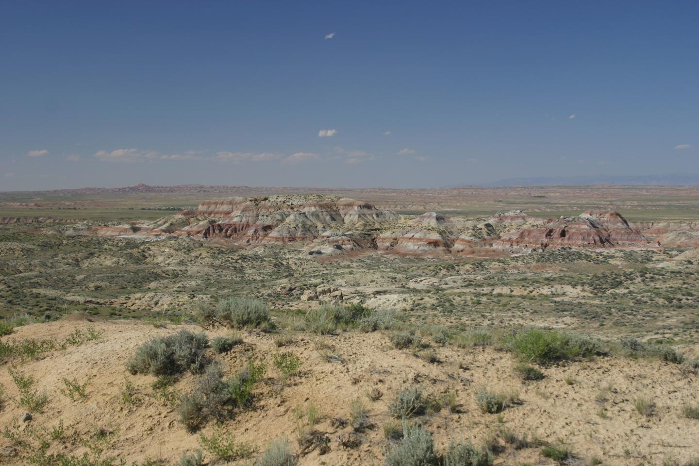 Typical Fossiliferous Exposures of the Willwood Formation