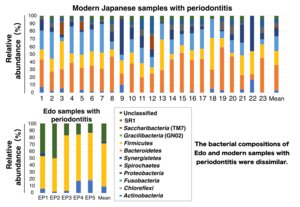 Figure 2. Bacterial composition at the phylum level based on 16S rDNA sequencing in Edo and modern samples with periodontitis.