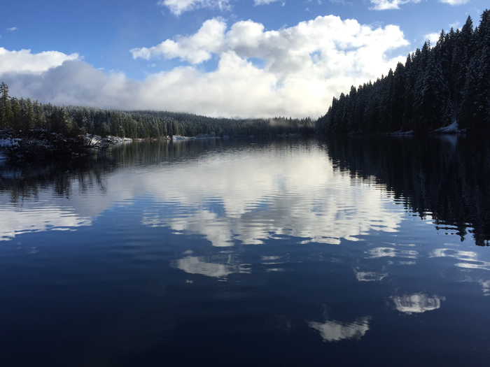 Willamette National Forest at Clear Lake, Oregon, USA