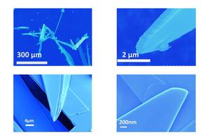 Electron microscope images