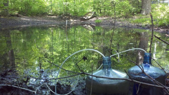 Measuring Gas Exchange in a Small Pond
