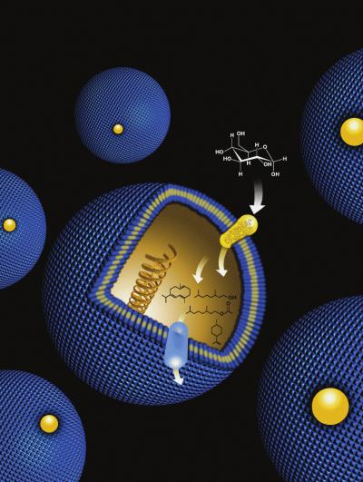 Metabolic Engineering