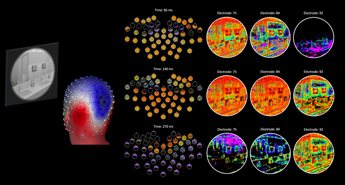 DETI mapping results from the brain