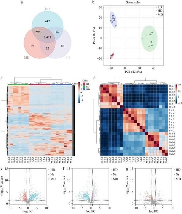 Fig.2