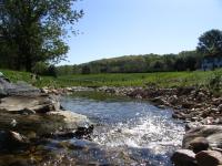 Ecosystem Functions Restored in a Suburban Stream