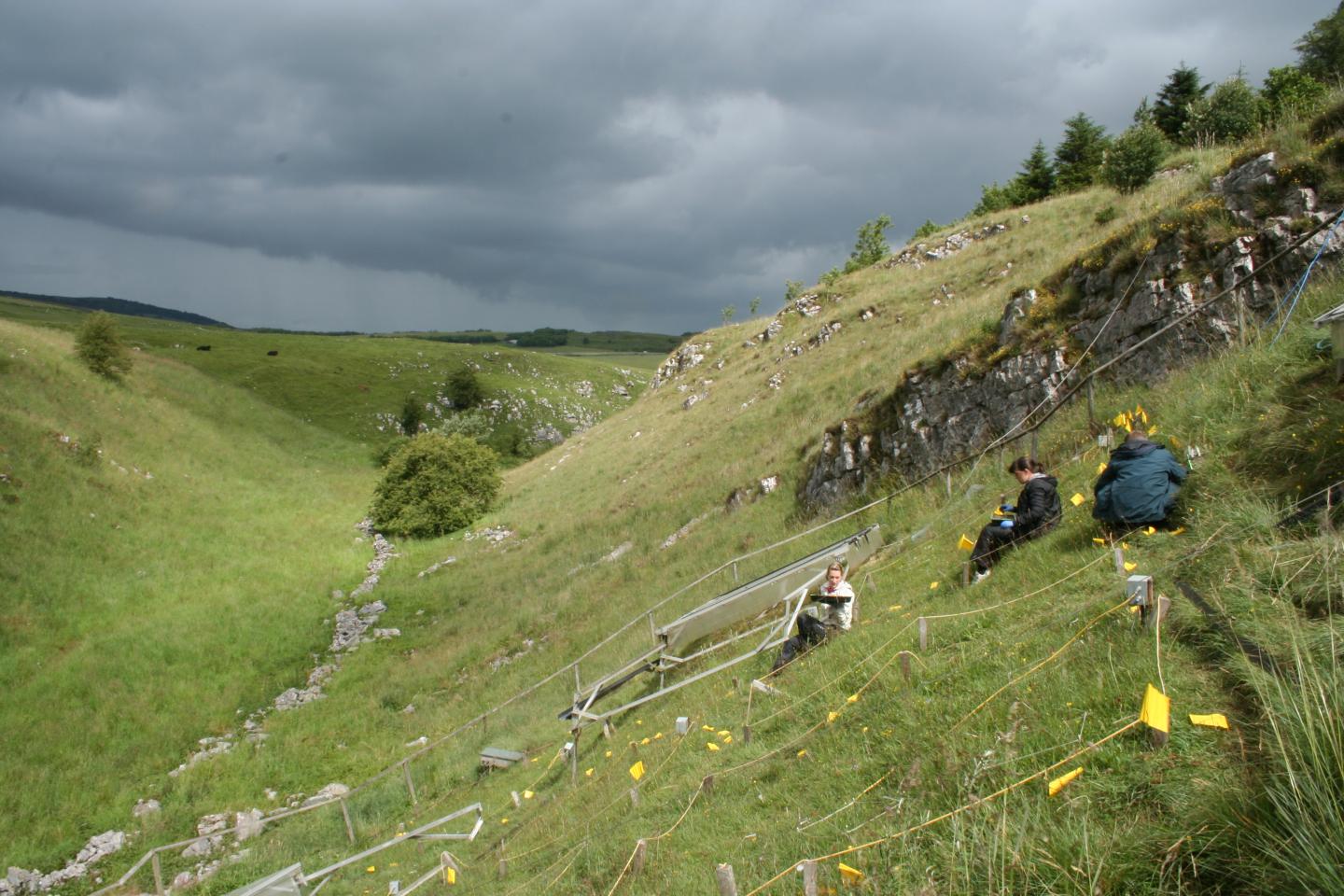 Semi-natural Grassland