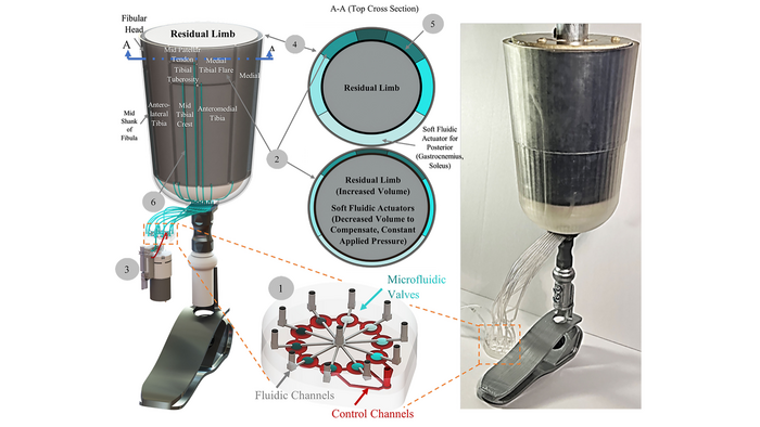 Microfluidics-enabled soft robotic prosthesis for lower limb amputees