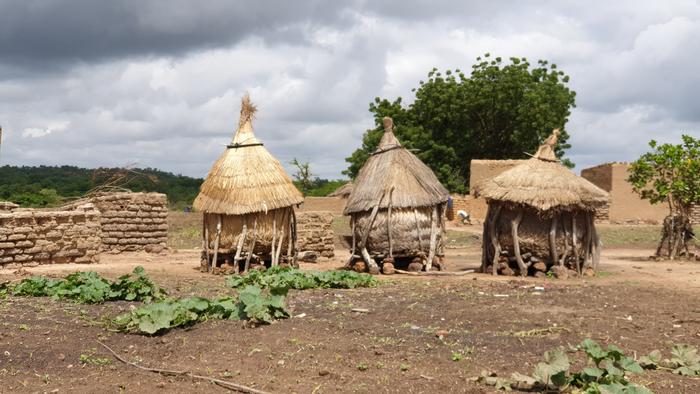 The field in Burkina Faso (2)