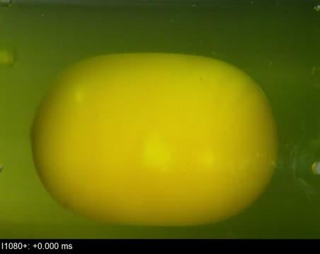 Rotational deceleration experiment with egg yolk
