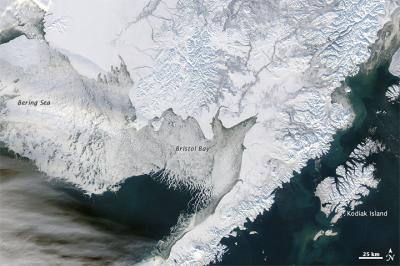 Sea Ice off Southwestern Alaska