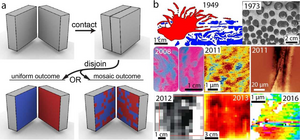 Charge mosaics on contact-charged dielectrics