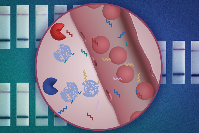 Nanoparticle Sensor [IMAGE] | EurekAlert! Science News Releases