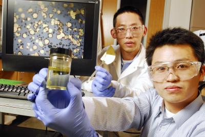 Rongwei Zhang, Wei Lin, Georgia Institute of Technology Research News