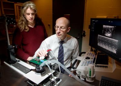 Suzanne Berry-Miller and Robert O'Brien, University of Illinois at Urbana-Champaign 