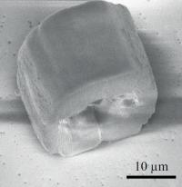 Microfabricated Hollow Structure