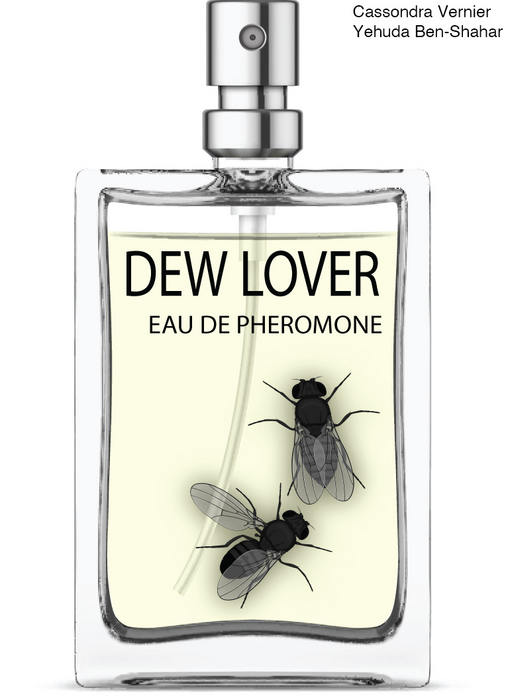 Eau de Pheromone