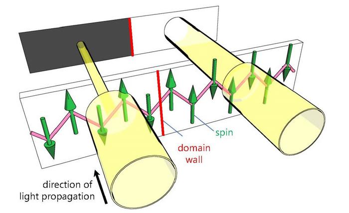 Visualization diagram of magnetic domains in a quantum antiferromagnet using nonreciprocal directional dichroism