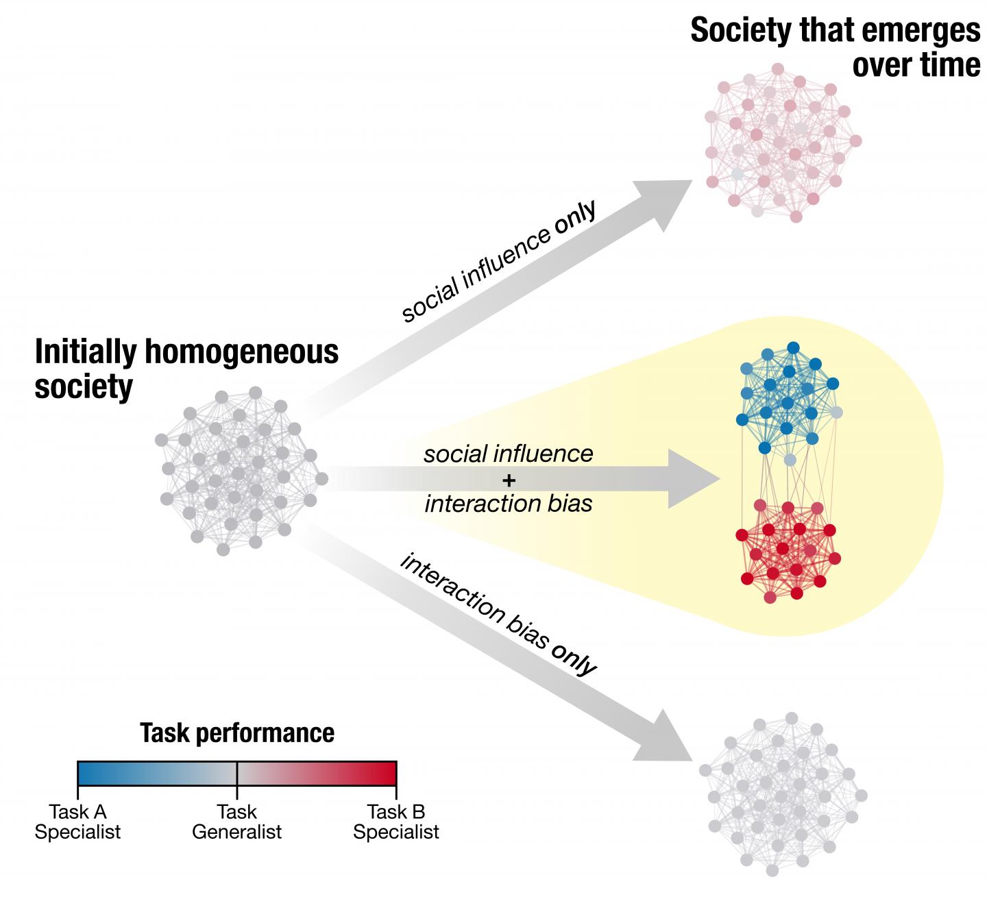 Of Ants and Men: Political Polarization Might Mirror Ant Behavior