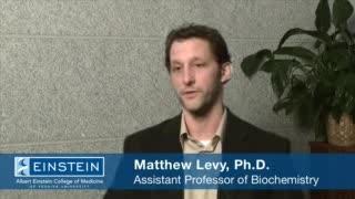 Interview with Dr. Matthew Levy