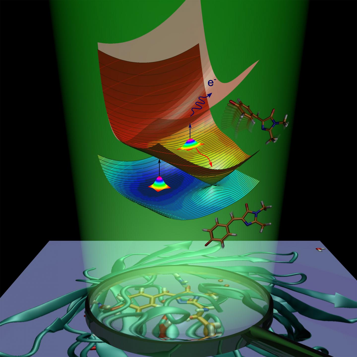 Molecular Dynamics of the Green Fluorescent Protein Chromophore