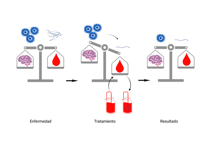 The innovation of this research is that it proposes reducing these toxins from the blood, as they are also present in the bloodstream