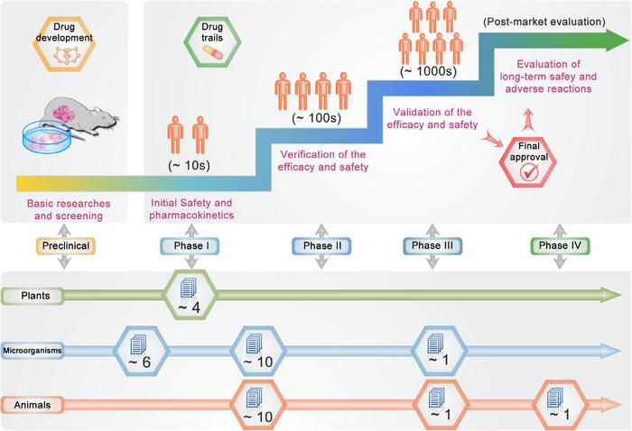 Overview of the stages and current status of clinical translation