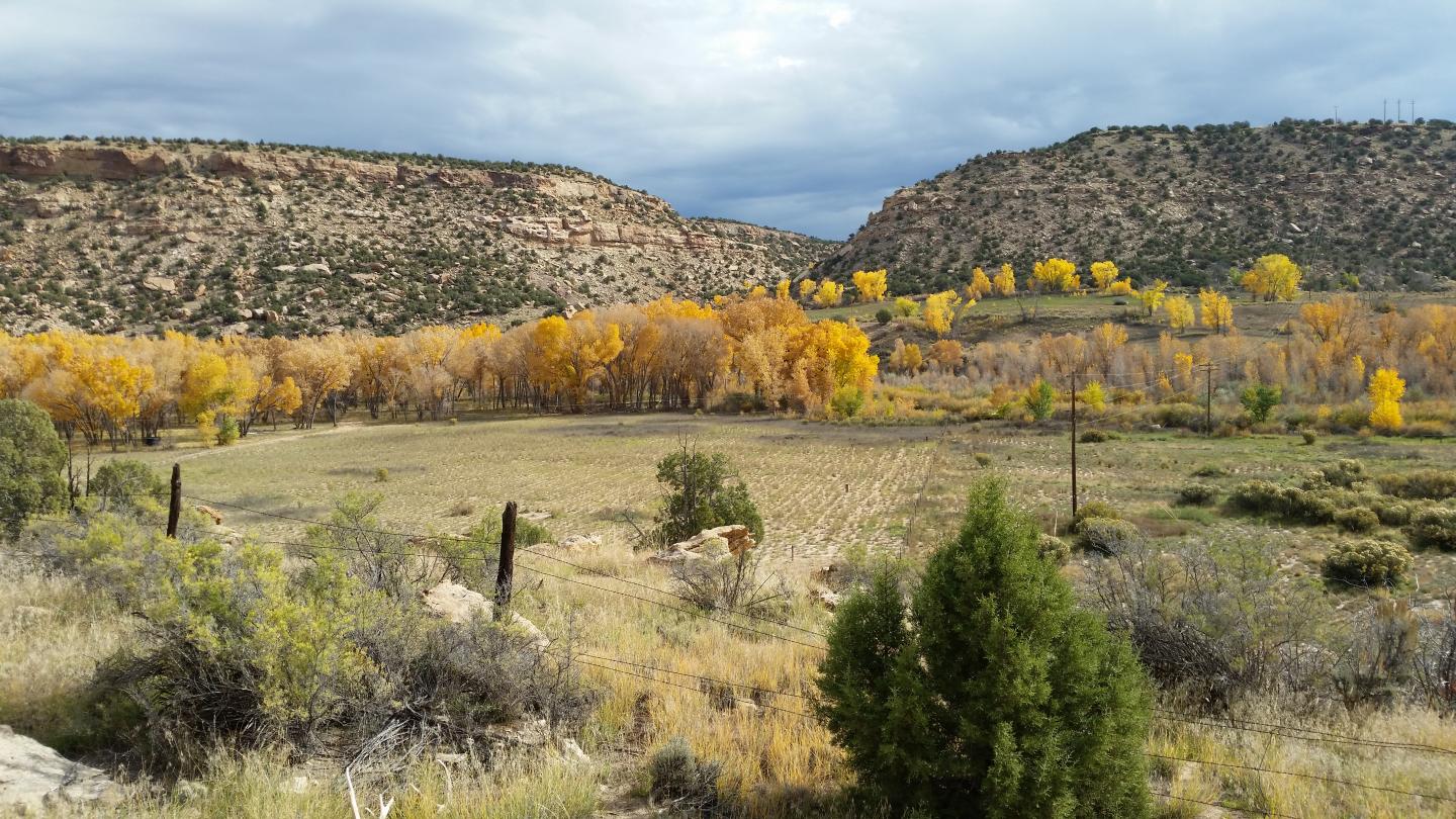 Colorado River Basin