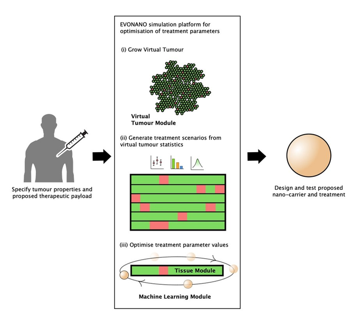 EVONANO simulation platform for optimisation of treatment parameters