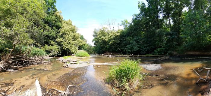 The recovery of European freshwater biodivers