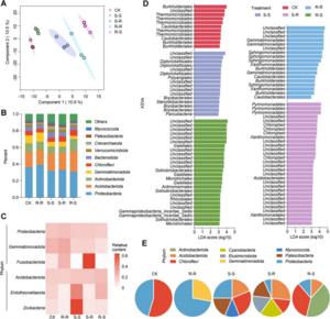 Composition of bacterial communities in soil.