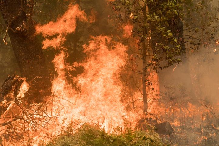 Southern Oregon Fire 2018