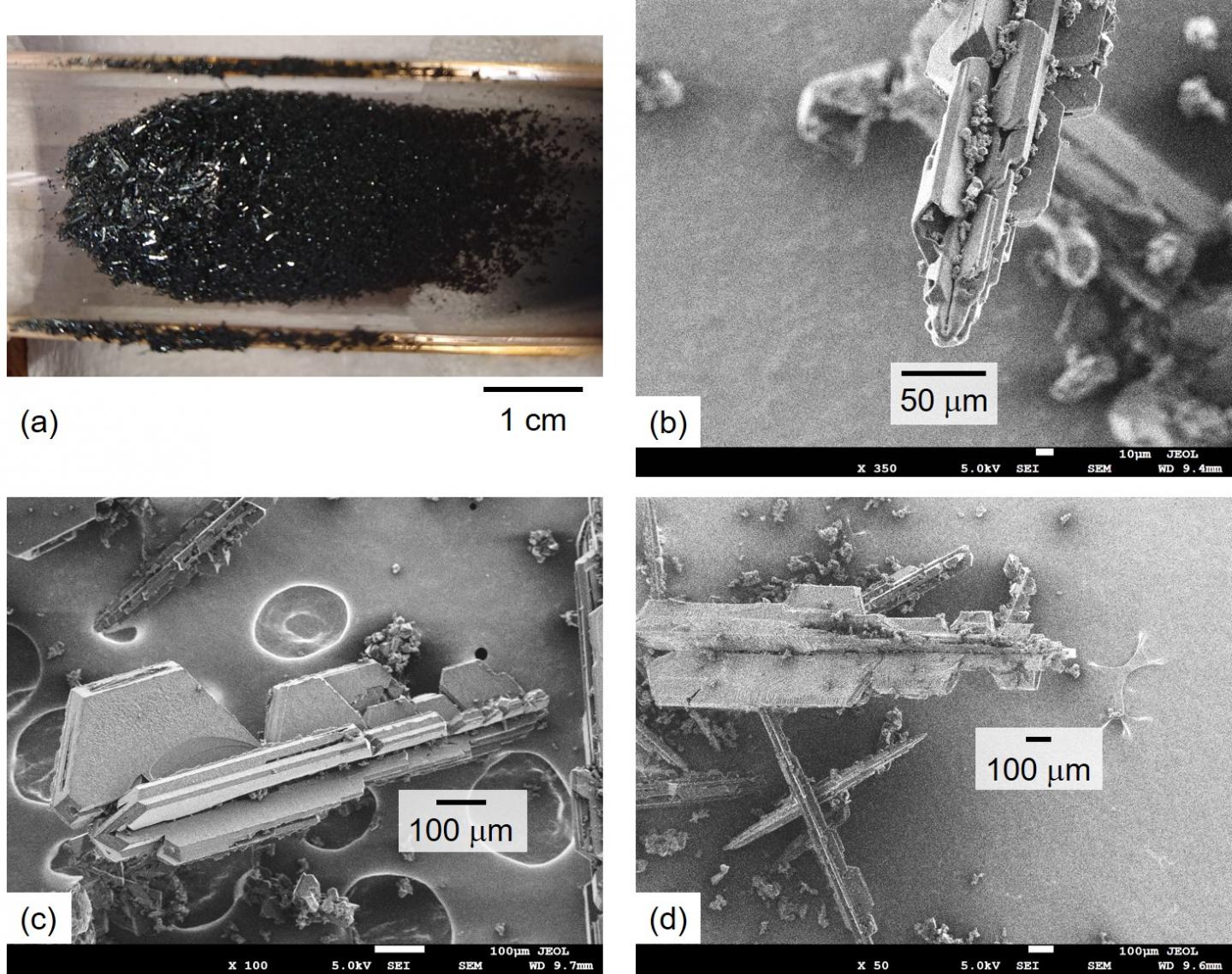 New one-dimensional fullerene crystals "fullerene finned-micropillar (FFMP)"