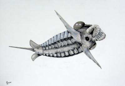 Reconstruction of Schinderhannes bartelsi