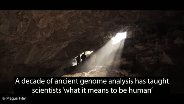 A Decade of Ancient DNA Analysis