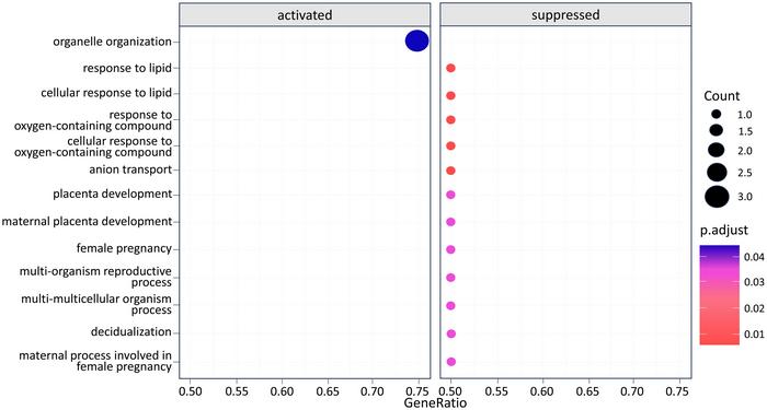 Pathway Enrichment Plot where organelle organization is found to be highly influenced by the dysregulated genes