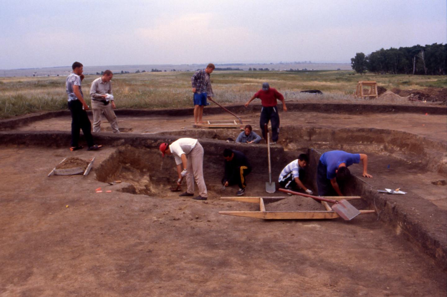 Vasilkovka Excavation