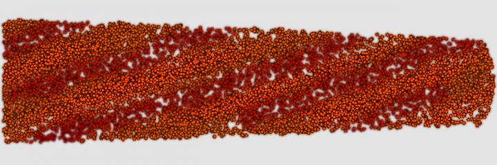 1 in 2 Australian Children Have Tooth Decay