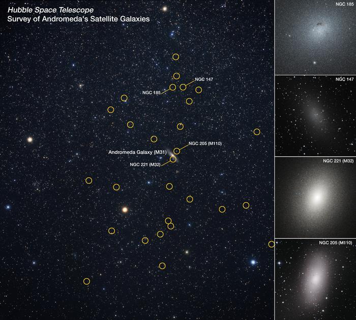 Survey of Andromeda's Satellite Galaxies