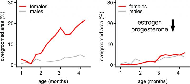 Female Sex Hormones Drive Symptom Severity
