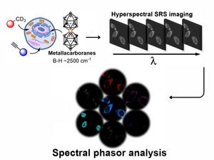 High resolution visualization of cell components using three chemical probes