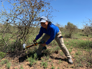 UQ PhD candidate Amelia Limbongan