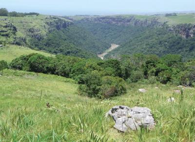 <i>G. perissinottoi</i> Habitat