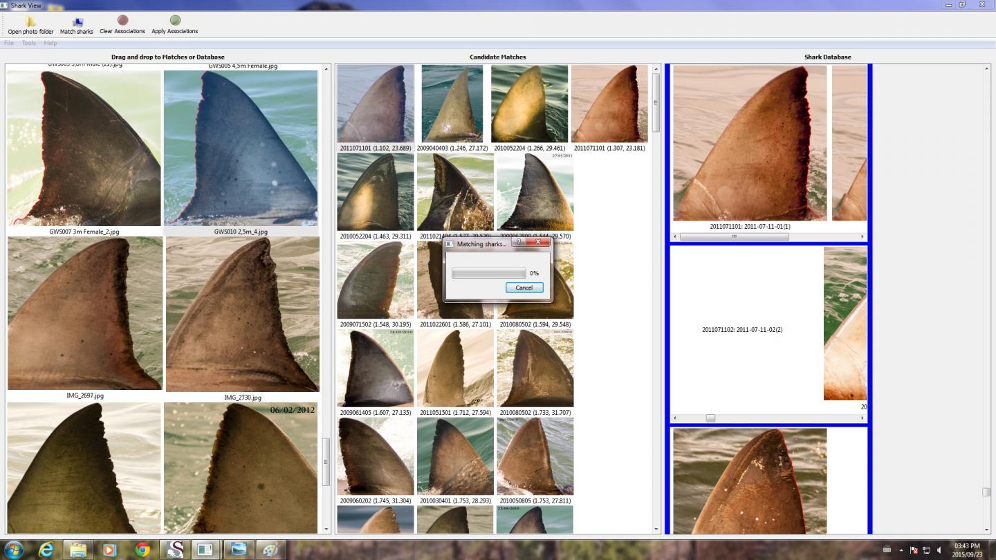 Identifin Interface (3 of 3)