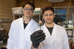 New catalyst to convert captured CO2 gas into valuable products